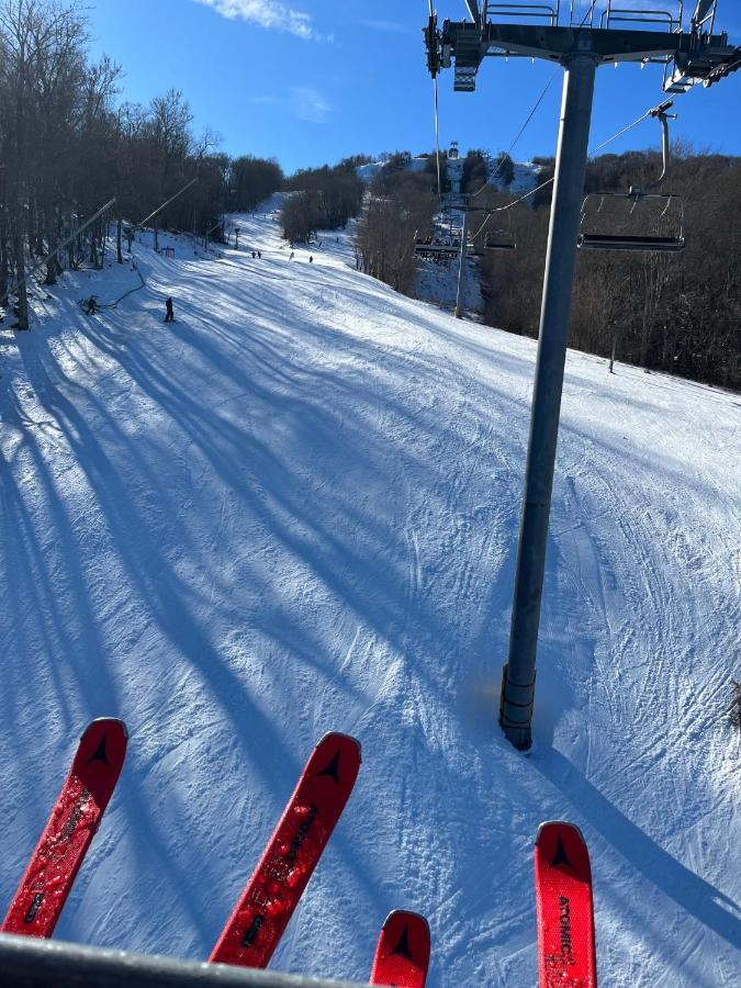 On Top Of The World At Sugar Top Resort Sugar Mountain Eksteriør billede